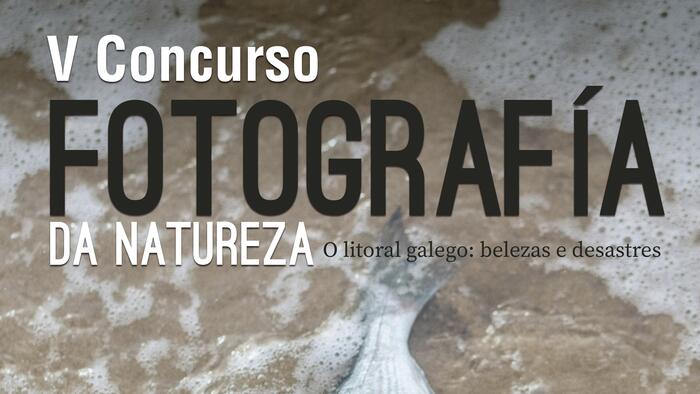 Cartel do concurso