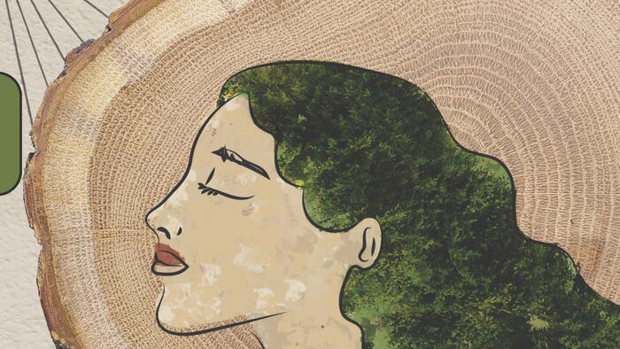 Detalle do cartel
