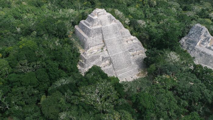 A Selva Maia é unha das zonas onde parece darse un maior atraso nas respostas dos bosques aos cambios climáticos. FOTO: Pexels 