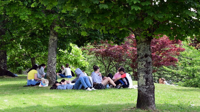 A convocatoria, que remata o 30 de decembro, completarase coa selección dun máximo de 50 cursos