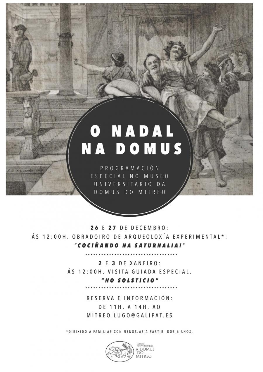 Cartaz da programación 'O Nadal na Domus' Cartaz da programación 'O Nadal na Domus'