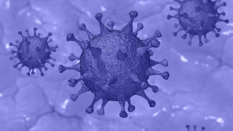 Imaxe representativa dun virus. Foto: Pixabay Imaxe representativa dun virus. Foto: Pixabay