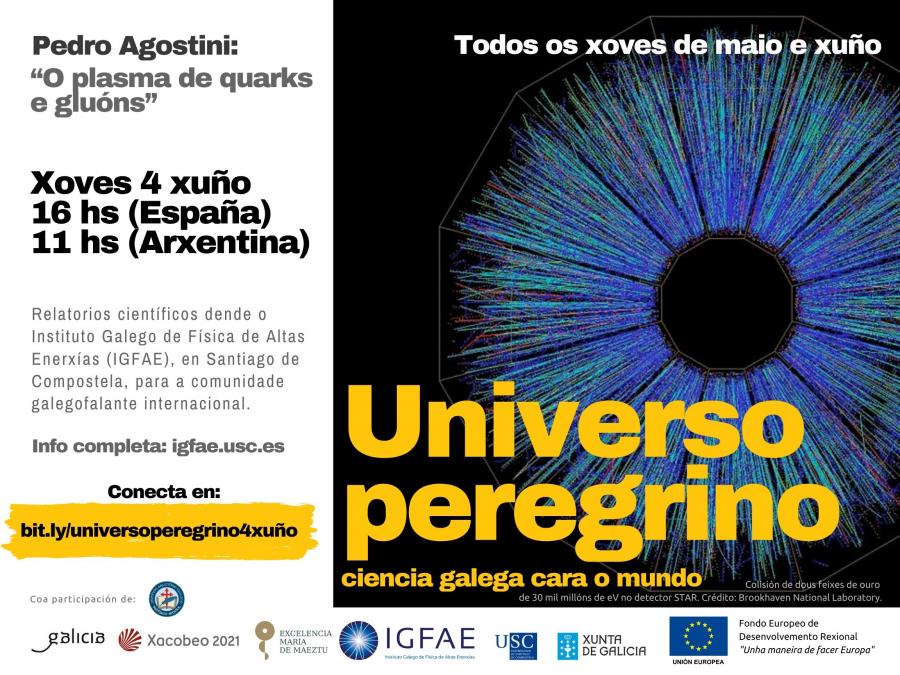 Cartaz da videoconferencia. Foto: IGFAE Cartaz da videoconferencia. Foto: IGFAE