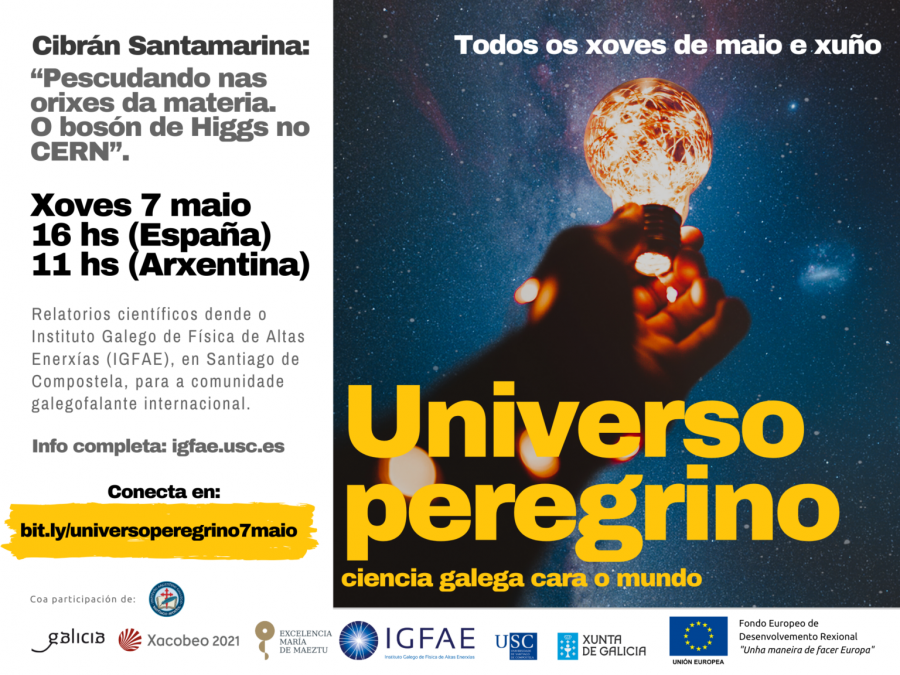 Cartaz da videoconferencia. Foto: IGFAE Cartaz da videoconferencia. Foto: IGFAE