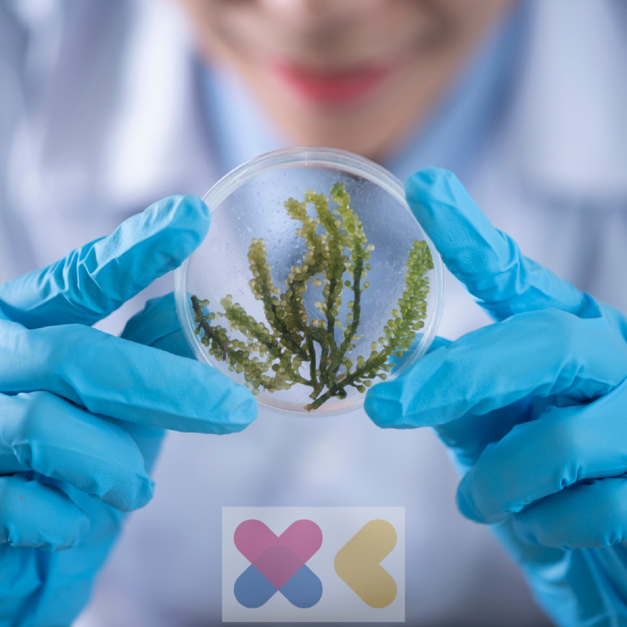 Imaxe do grupo de innovación docente XuvenCiencia da USC Imaxe do grupo de innovación docente XuvenCiencia da USC