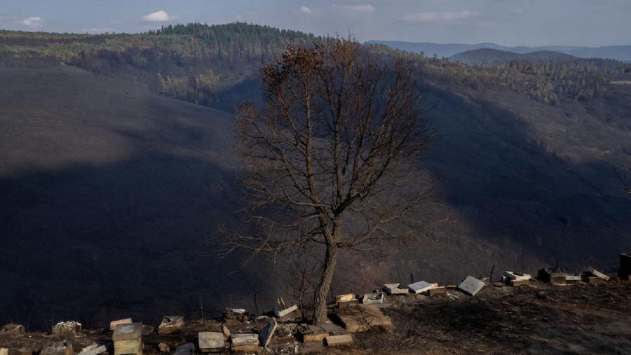Área das montañas de Lugo afectada por lumes forestais Área das montañas de Lugo afectada por lumes forestais
