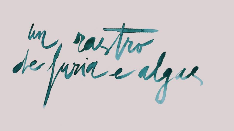 Inspirada por un verso de Alba Cid, poeta desa xeración, a mostra agrupa a artistas millenial de Galicia e do norte de Portugal para explorar como esta sensibilidade está a calar nas súas investigacións Inspirada por un verso de Alba Cid, poeta desa xeración, a mostra agrupa a artistas millenial de Galicia e do norte de Portugal para explorar como esta sensibilidade está a calar nas súas investigacións