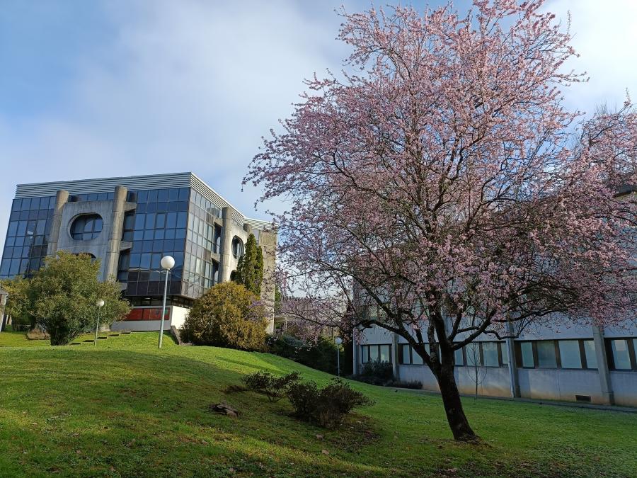 Reunión da Comisión de Título do Grao en Enxeñería Forestal e do Medio Natural Mércores 8 de outubro, ás 11:30 na Sala de Persoal da Escola Politécnica e online via TEAMS