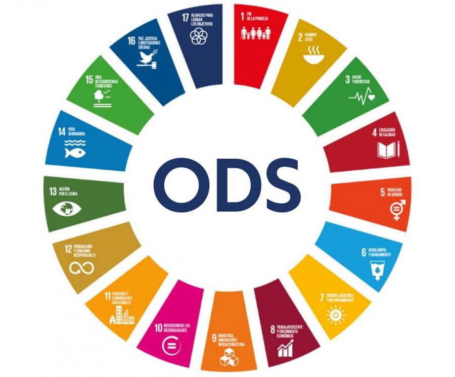 Na xornada trataranse as oportunidades dos sistemas universitarios para a abordaxe dos ODS Na xornada trataranse as oportunidades dos sistemas universitarios para a abordaxe dos ODS