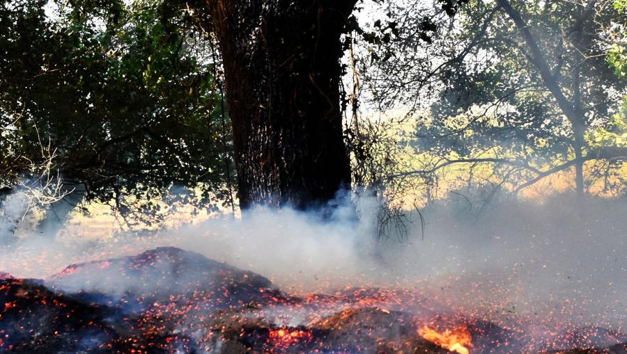 O programa aborda as relacións entre o clima, a meteoroloxía e os incendios. FOTO: Santi Alvite