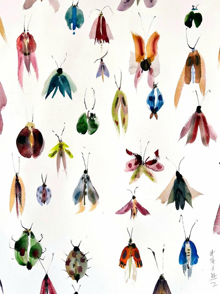 Acuarela de insectos Acuarela de insectos