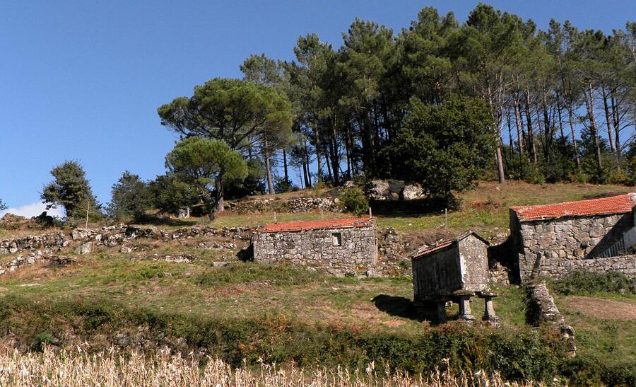 A Cátedra Juana de Vega asómase ás fiestras e postigos dixitais das mulleres que habitan a contorna rural e mariñeira A Cátedra Juana de Vega asómase ás fiestras e postigos dixitais das mulleres que habitan a contorna rural e mariñeira