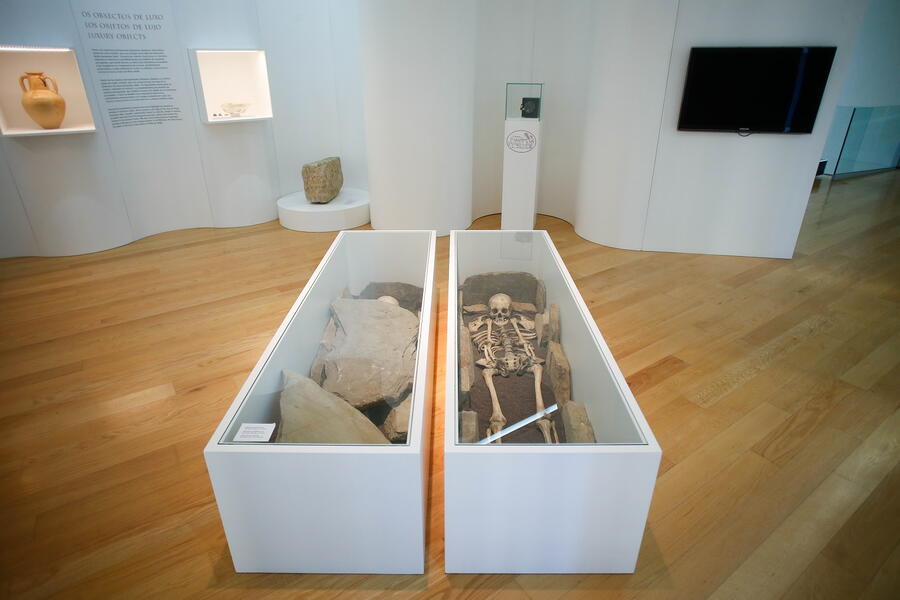 Museo Universitario A Domus do Mitreo Museo Universitario A Domus do Mitreo