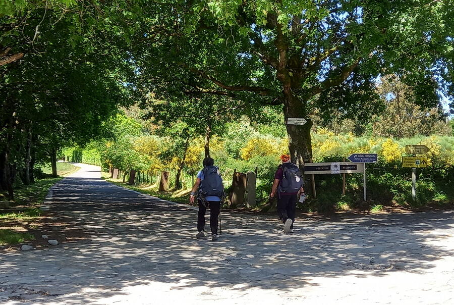 O evento busca analizar o Camiño de Santiago como espazo de benestar. Foto: Lucrezia López O evento busca analizar o Camiño de Santiago como espazo de benestar. Foto: Lucrezia López