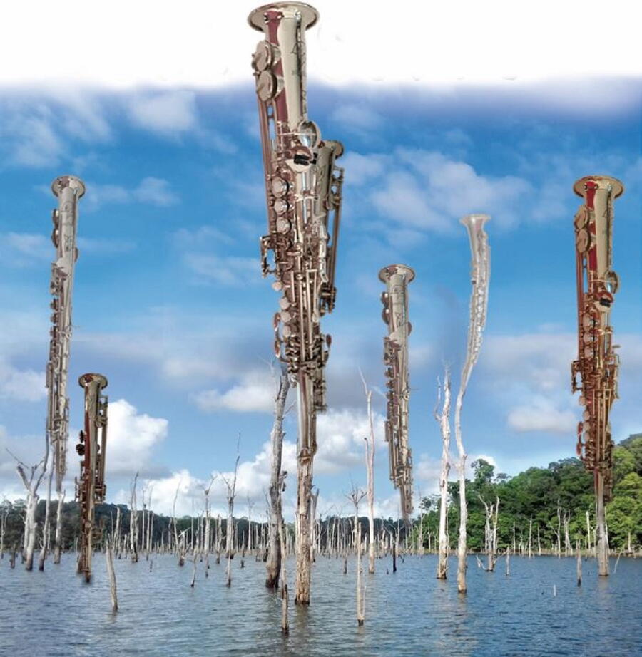 Foto: https://oisiveraie.com/ds.html