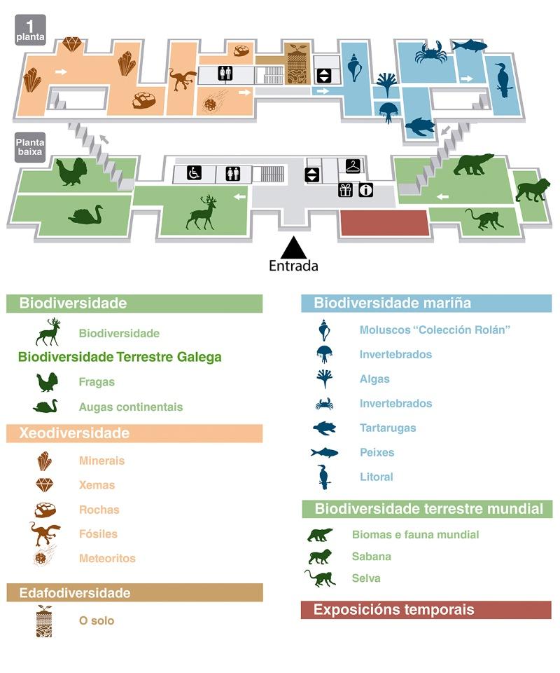 Planos do Museo