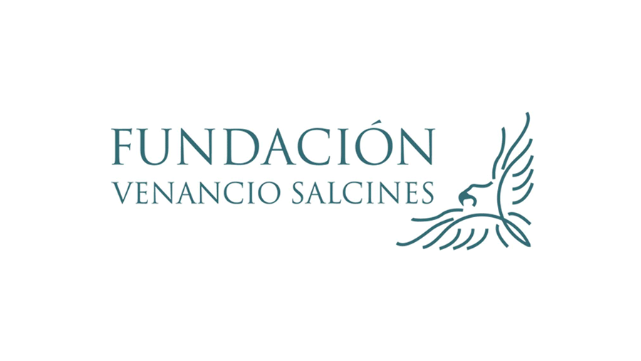 Logotipo da Fundacion Venancio Salcines Logotipo da Fundacion Venancio Salcines