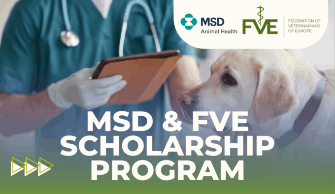 logo msd&fve logo msd&fve