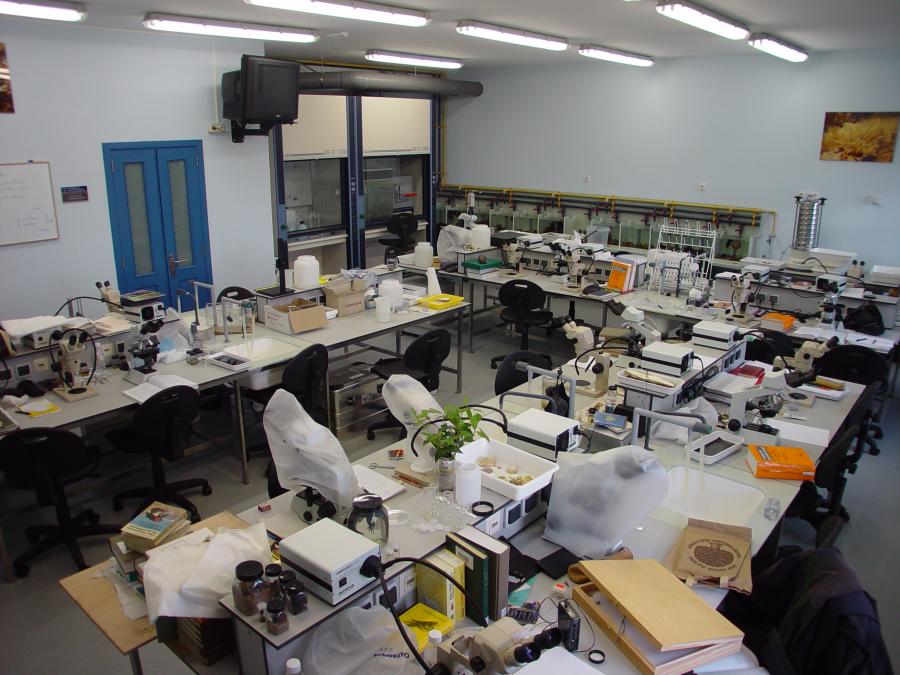 Laboratory