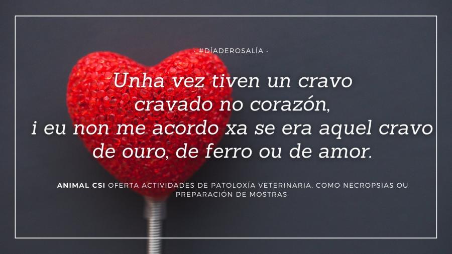 'Memes' que relacionan a poética de Rosalía de Castro cos Kits de divulgación científica de XuvenCiencia 'Memes' que relacionan a poética de Rosalía de Castro cos Kits de divulgación científica de XuvenCiencia