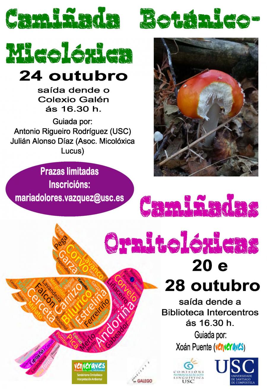 Camiñadas micolóxicas e ornitolóxicas (2016)