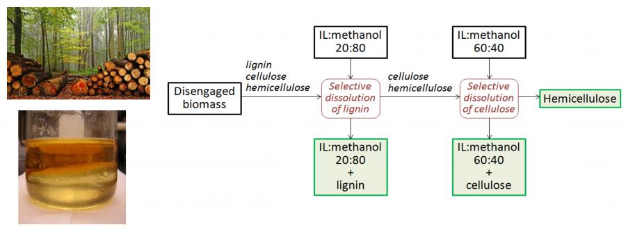 Obtención de biomateriales y biocombustibles