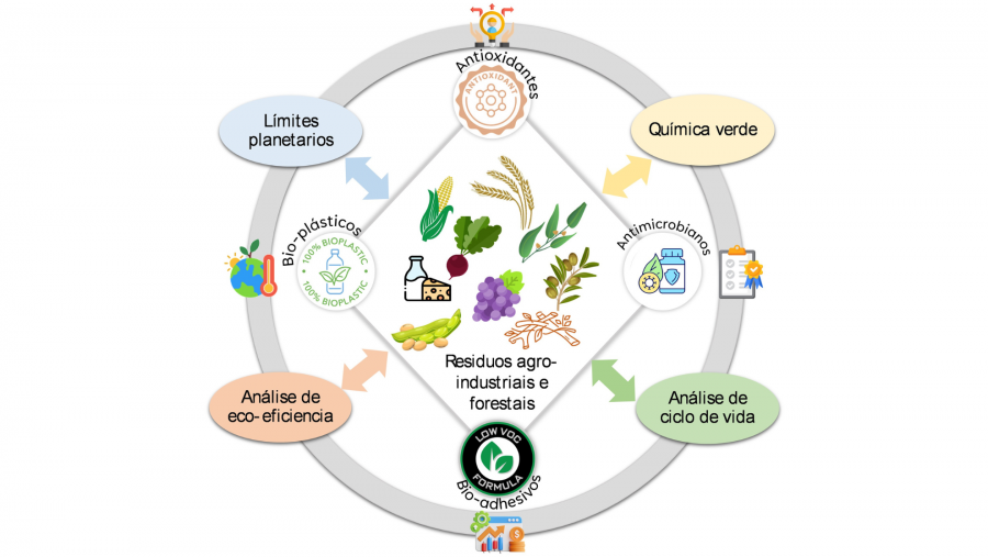 Figura explicativa da avaliación dos modelos produtivos Figura explicativa da avaliación dos modelos produtivos