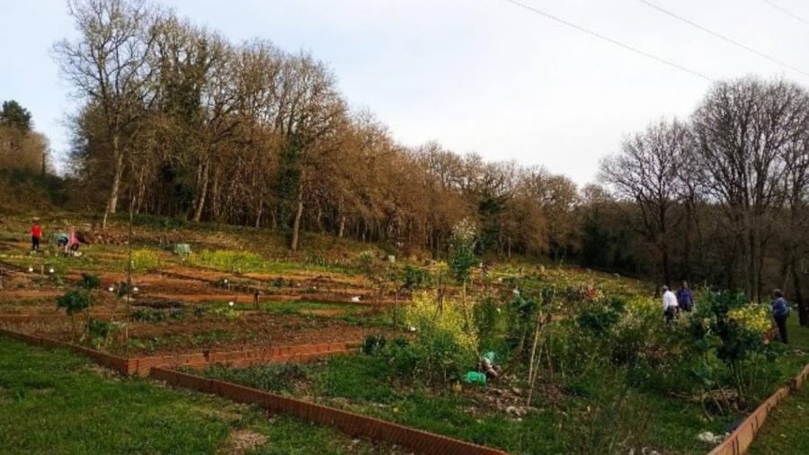 View of an urban vegetable garden in Lugo