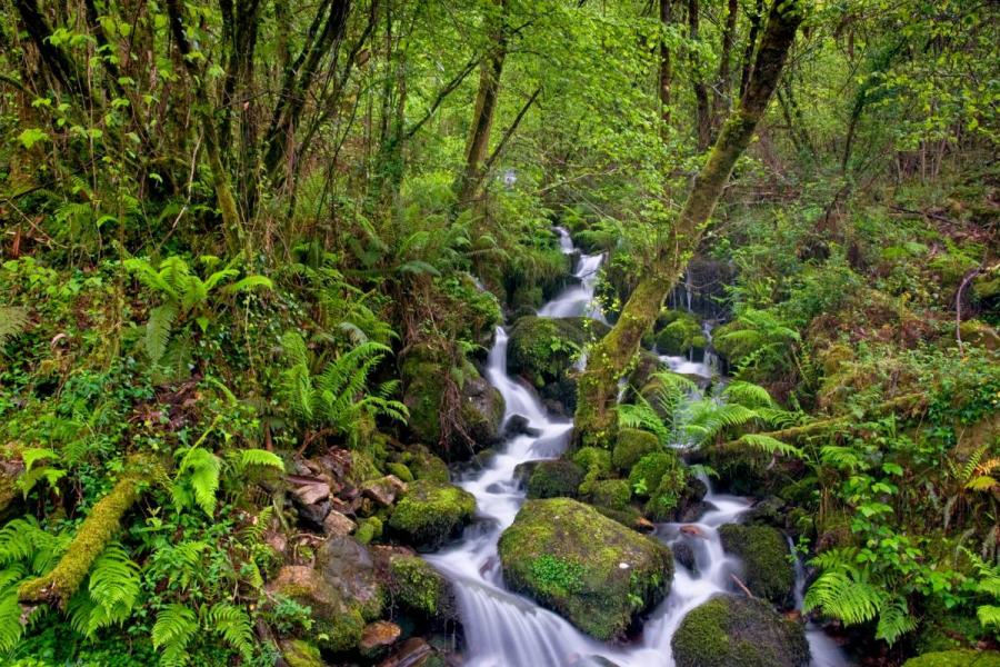 View of a beautiful place in a Galician mountain
