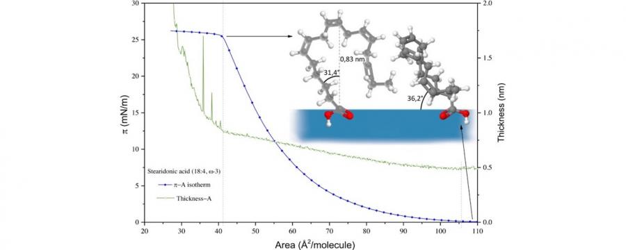 pufa monolayers