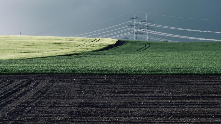 La ecofisiología intenta comprender la relación entre el funcionamiento de una planta y su enorno