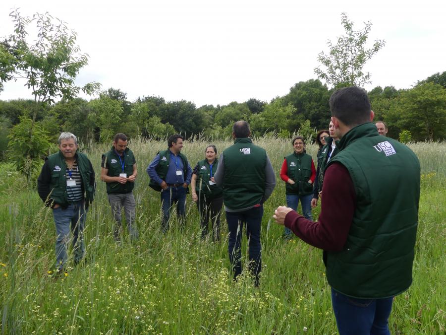 Tal e como explica a profesora Rosa Mosquera, un dos principais obxectivos deste acordo consistirá en “fortalecer as metodoloxías existentes para avaliar a extensión das prácticas agroforestais a nivel local, rexional, nacional e global”