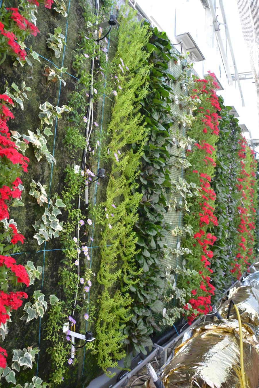 A instalación de xardíns verticais achega tamén vantaxes sociais e económicas como a mellora do valor estético do ambiente tanto exterior como interior dos edificios A instalación de xardíns verticais achega tamén vantaxes sociais e económicas como a mellora do valor estético do ambiente tanto exterior como interior dos edificios