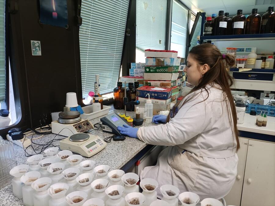 A partir dos resultados, e tendo en conta o estado nutricional dos solos, deseñaranse diferentes tratamentos que se aplicarán en parcelas experimentais con maiores problemas de fertilidade A partir dos resultados, e tendo en conta o estado nutricional dos solos, deseñaranse diferentes tratamentos que se aplicarán en parcelas experimentais con maiores problemas de fertilidade