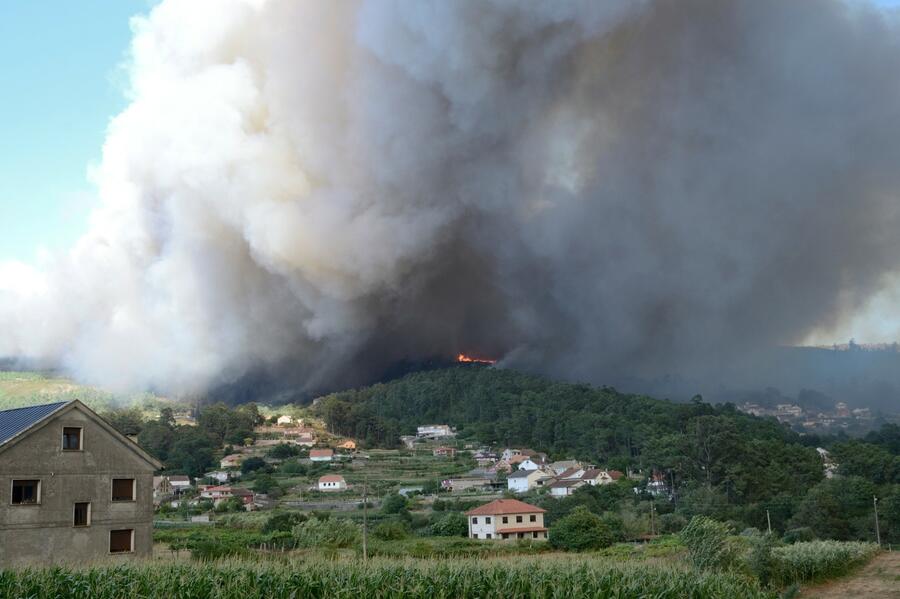 Los fuegos forestales, en cualquiera parte del mundo, responden a patrones de comportamiento comunes