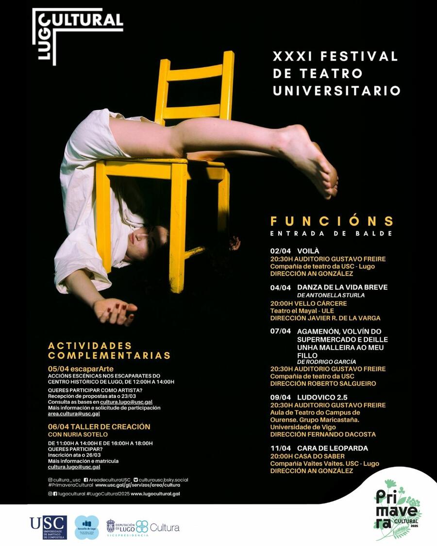 Cartel do festival