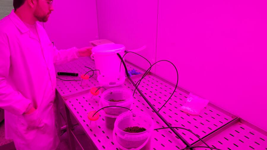 Co proxecto buscan xerar fertilizantes orgánicos eficientes para reducir a dependencia dos sintéticos Co proxecto buscan xerar fertilizantes orgánicos eficientes para reducir a dependencia dos sintéticos