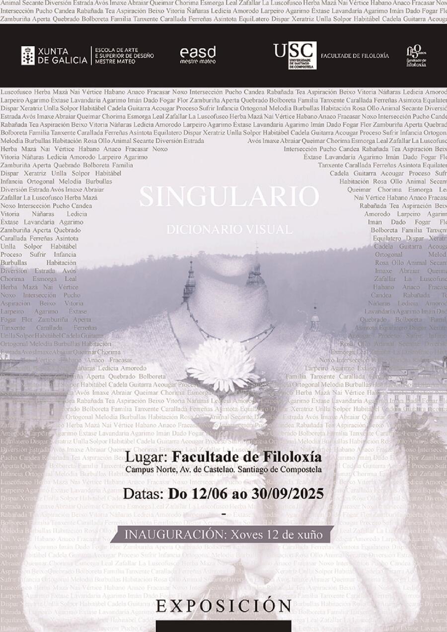 Cartel da mostra 'Singulario' Cartel da mostra 'Singulario'