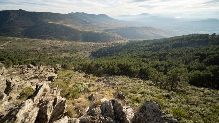 El grupo UXAFORES lleva años trabajando para conocer el grado de contaminación que se está produciendo en suelos, vegetales y aguas de Galicia El grupo UXAFORES lleva años trabajando para conocer el grado de contaminación que se está produciendo en suelos, vegetales y aguas de Galicia