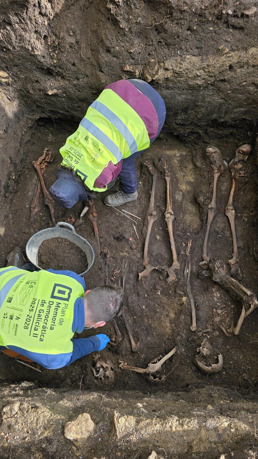 Os traballos estiveronb dirixidos polo grupo Histagra da USC. Foto: Lentes Diverxentes