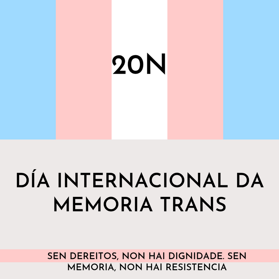 20N. DÍA INTERNACIONAL DA MEMORIA TRANS