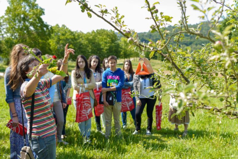 A USC achégase a estudantes de ESO e bacharelato cun campus estival que se desenvolverá do 23 ao 27 de xuño en Lugo A USC achégase a estudantes de ESO e bacharelato cun campus estival que se desenvolverá do 23 ao 27 de xuño en Lugo