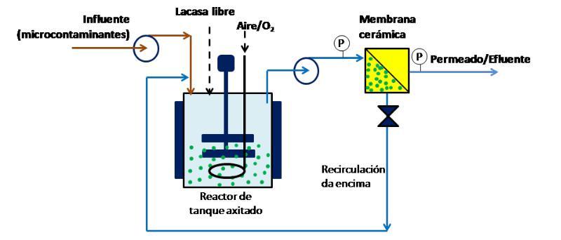 Investigan na ETSE distintos métodos para desenvolver tecnoloxías dirixidas a eliminar contaminantes orgánicos Investigan na ETSE distintos métodos para desenvolver tecnoloxías dirixidas a eliminar contaminantes orgánicos