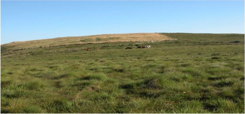 A contaminación atmosférica debida á metalurxia no norte peninsular comezou 1.500 anos antes do que se pensaba