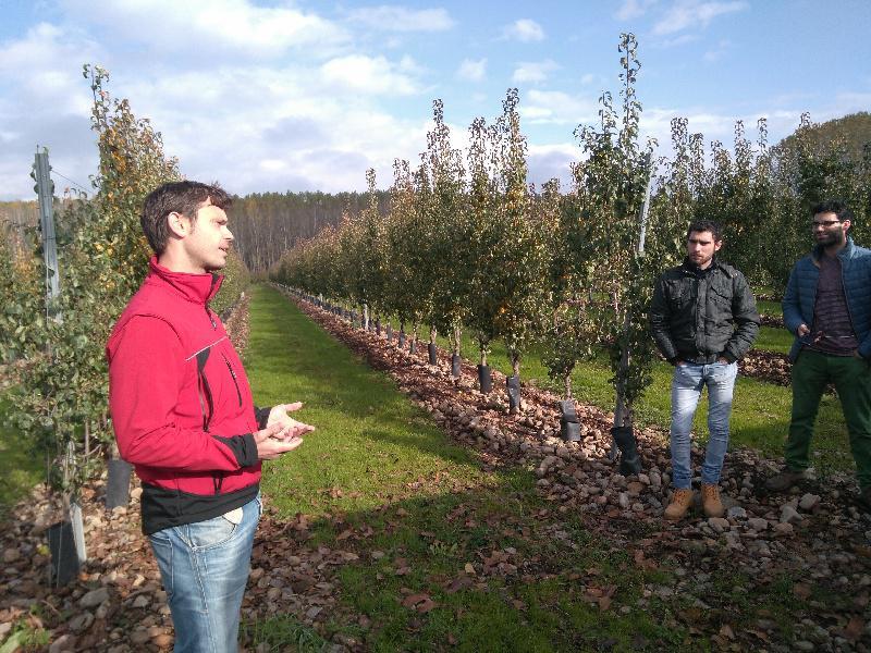 Estudantes de Enxeñaría Agrícola e Agroalimentaria visitan no Bierzo unha central hortofrutícola punteira Estudantes de Enxeñaría Agrícola e Agroalimentaria visitan no Bierzo unha central hortofrutícola punteira