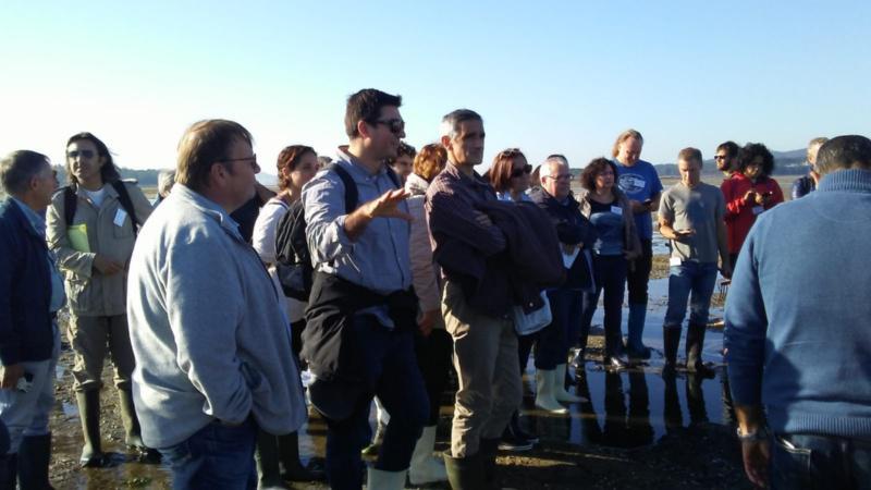 A caravana pola acuicultura impulsada pola Rede Inmunogenom pon en valor a importancia do sector en Galicia A caravana pola acuicultura impulsada pola Rede Inmunogenom pon en valor a importancia do sector en Galicia