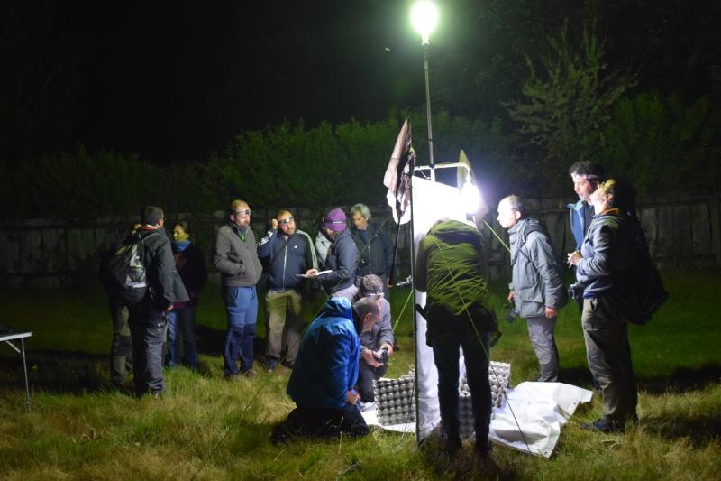 O II Bioblitz da Estación Científica do Courel amosa a riqueza da biodiversidade da zona a naturalistas a afeccionados de Galicia 
