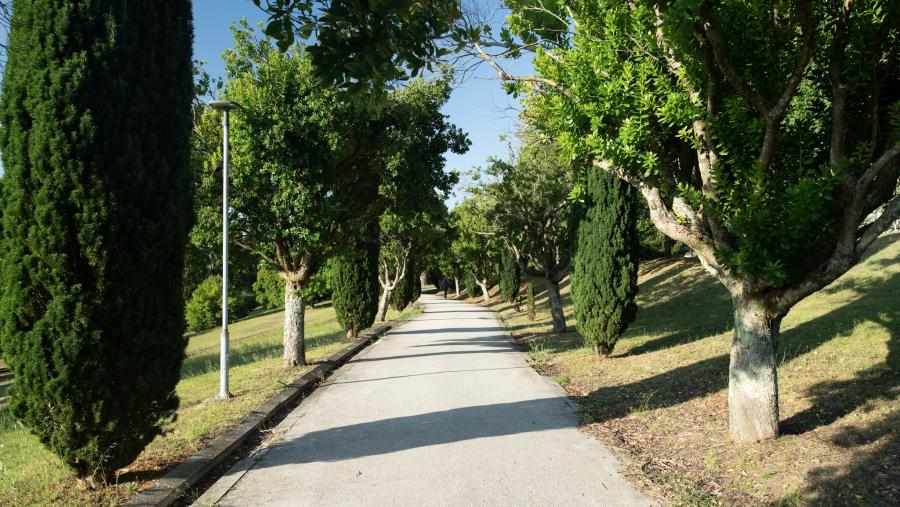 Campus Vida