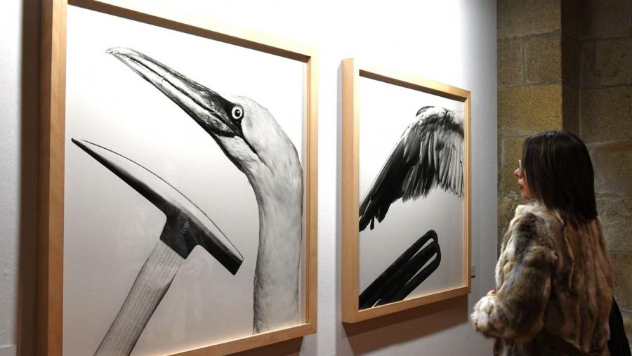 A montaxe inclúe imaxes de gran formato en branco e negro e cor. FOTO: Santi Alvite A montaxe inclúe imaxes de gran formato en branco e negro e cor. FOTO: Santi Alvite