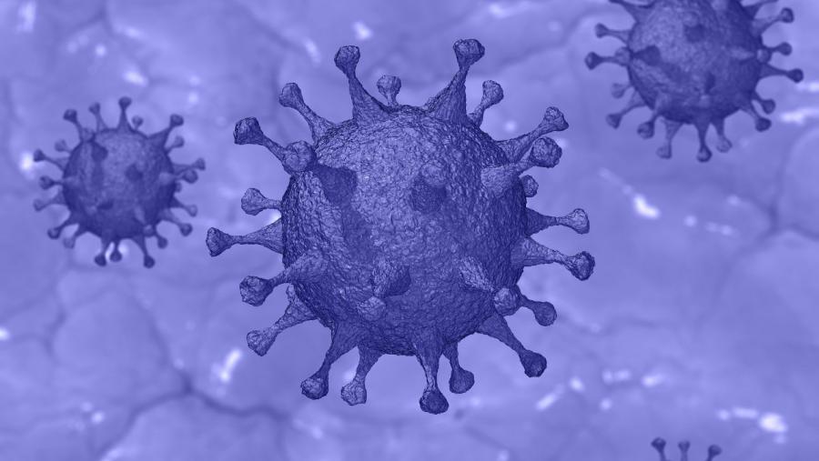 Imaxe representativa dun virus
